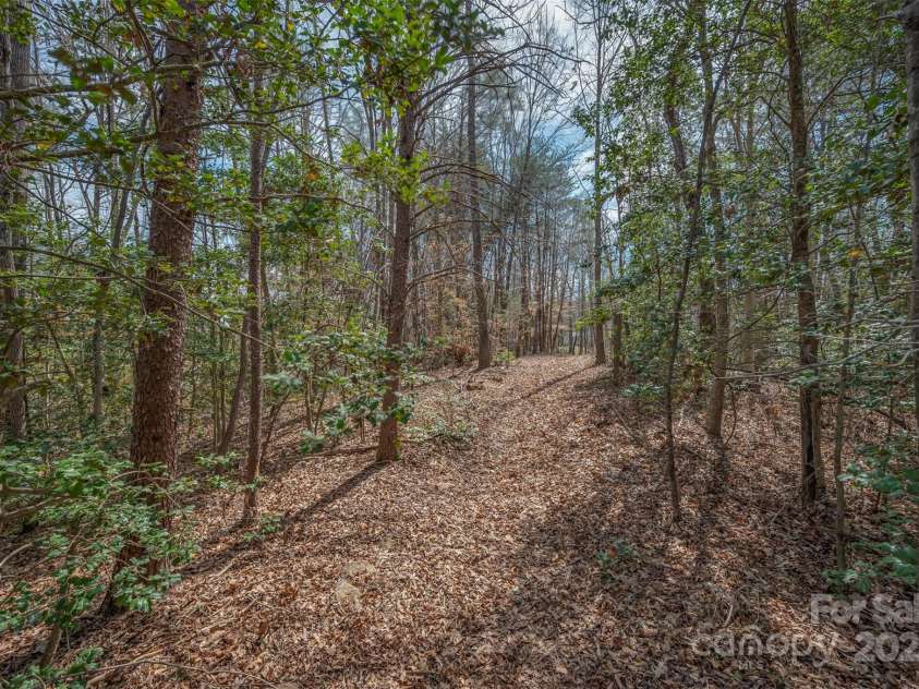582 County Line Road, Rutherfordton, NC 28139.  MLS# CAR4235377, YatesRealty ID 5734. Path at back of house 