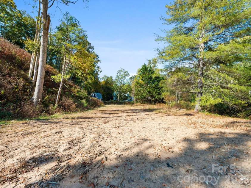 239 Baird Cove Road, Asheville, NC 28804.  MLS# CAR4434380, YatesRealty ID 57389. 