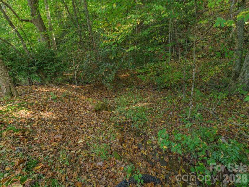 99 Cripple Creek Road, Waynesville, NC 28785.  MLS# CAR4435944, YatesRealty ID 57486. 