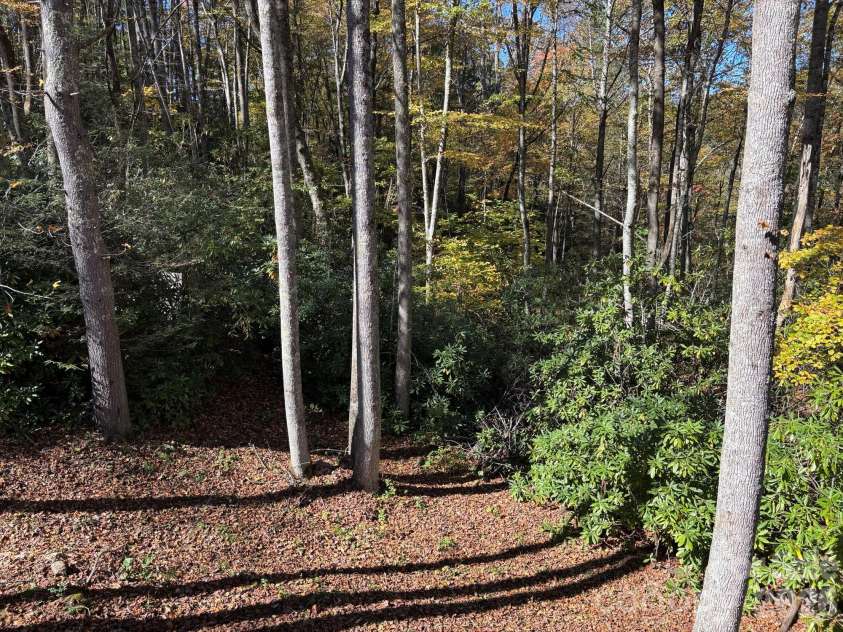 1661 Mckinney Mine Road, Spruce Pine, NC 28777.  MLS# CAR4436084, YatesRealty ID 57689. 