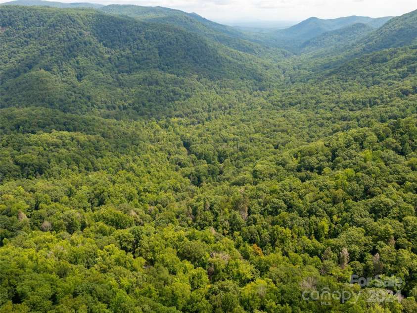 1563 Green River Cove Road, Saluda, NC 28773.  MLS# CAR4157583, YatesRealty ID 5771. Green River Gorge