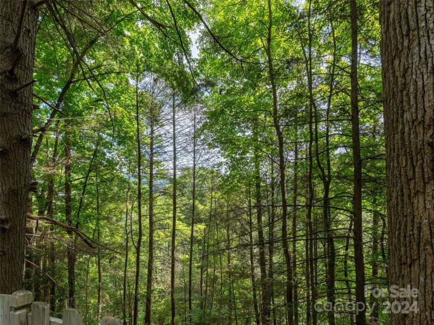 1563 Green River Cove Road, Saluda, NC 28773.  MLS# CAR4157583, YatesRealty ID 5771. View from deck during the summer.  Opens up during fall and winter.