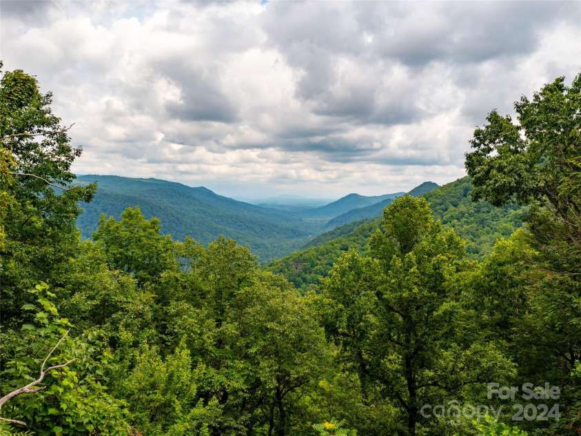 1563 Green River Cove Road, Saluda, NC 28773.  MLS# CAR4157583, YatesRealty ID 5771. View from the top of Green River Cove Road