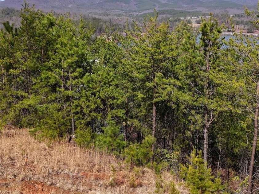691 Harborside Drive, Nebo, NC 28761.  MLS# CAR4436520, YatesRealty ID 57725. 