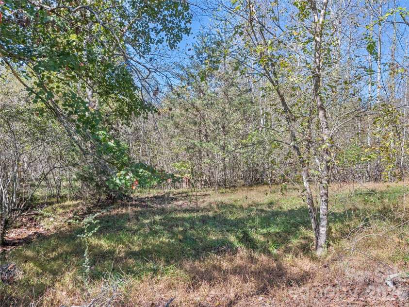 323 Joe Moody Road, Warne, NC 28909.  MLS# CAR4436156, YatesRealty ID 57729. 