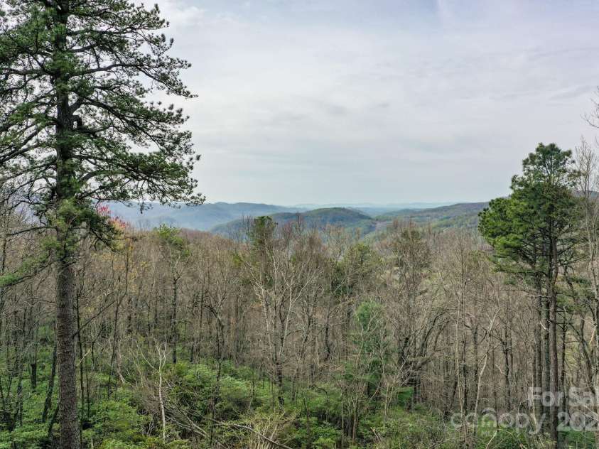 40 Tagalong Lane, Black Mountain, NC 28711.  MLS# CAR4131803, YatesRealty ID 5784. 