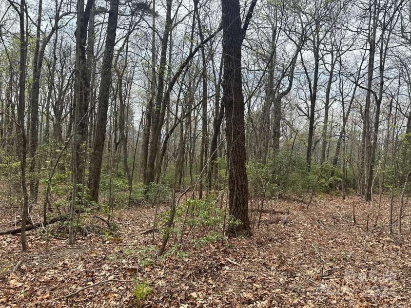 40 Tagalong Lane, Black Mountain, NC 28711.  MLS# CAR4131803, YatesRealty ID 5784. 