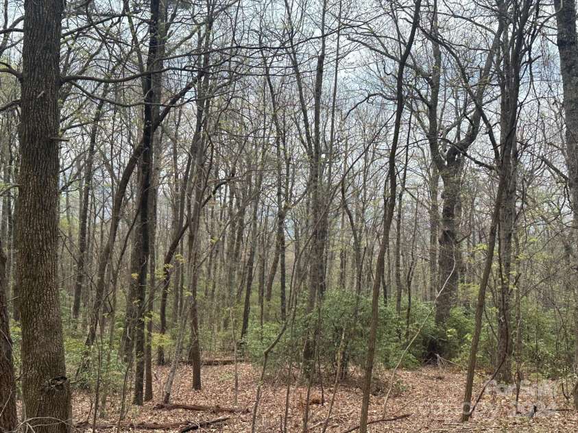 40 Tagalong Lane, Black Mountain, NC 28711.  MLS# CAR4131803, YatesRealty ID 5784. 