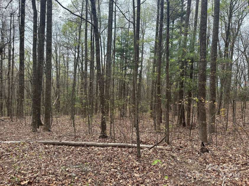 40 Tagalong Lane, Black Mountain, NC 28711.  MLS# CAR4131803, YatesRealty ID 5784. 