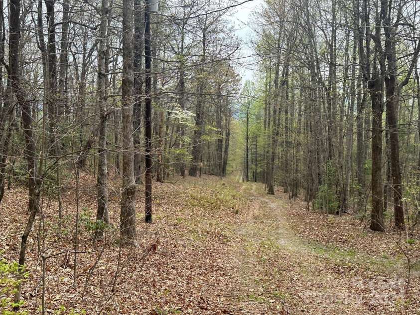 40 Tagalong Lane, Black Mountain, NC 28711.  MLS# CAR4131803, YatesRealty ID 5784. 