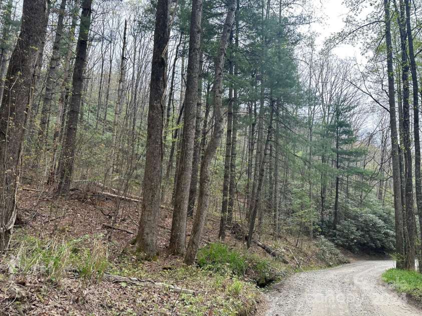 40 Tagalong Lane, Black Mountain, NC 28711.  MLS# CAR4131803, YatesRealty ID 5784. 