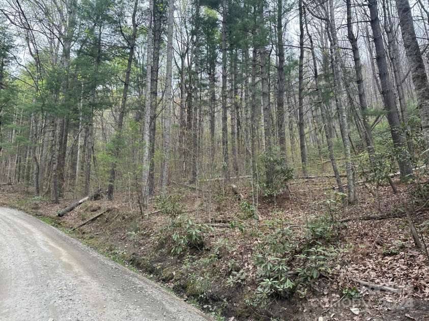 40 Tagalong Lane, Black Mountain, NC 28711.  MLS# CAR4131803, YatesRealty ID 5784. 