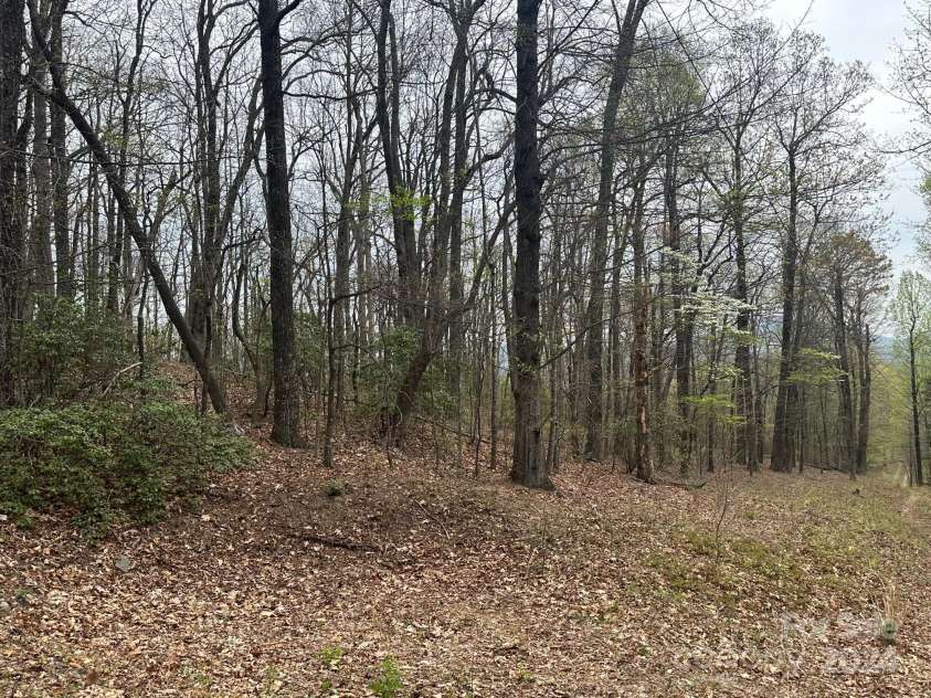 40 Tagalong Lane, Black Mountain, NC 28711.  MLS# CAR4131803, YatesRealty ID 5784. 