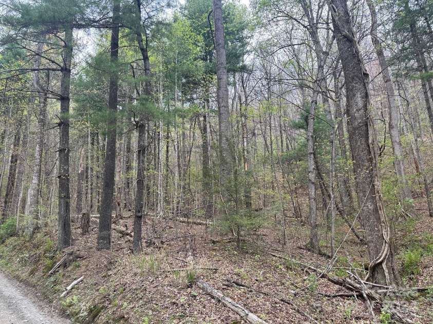 40 Tagalong Lane, Black Mountain, NC 28711.  MLS# CAR4131803, YatesRealty ID 5784. 