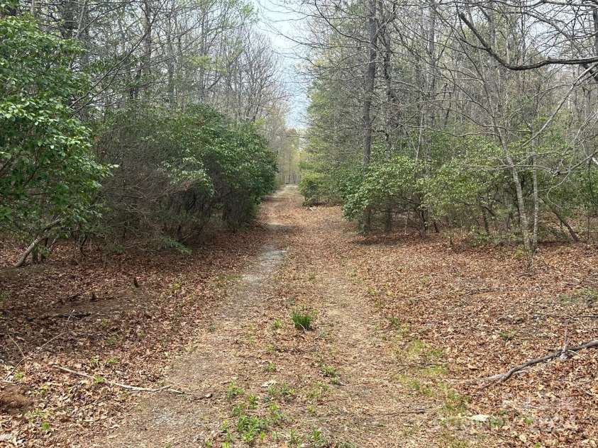 40 Tagalong Lane, Black Mountain, NC 28711.  MLS# CAR4131803, YatesRealty ID 5784. 