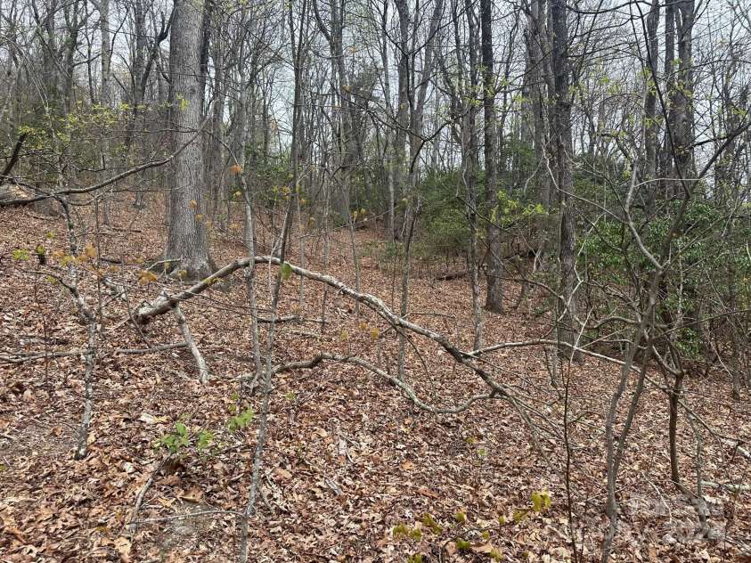 40 Tagalong Lane, Black Mountain, NC 28711.  MLS# CAR4131803, YatesRealty ID 5784. 