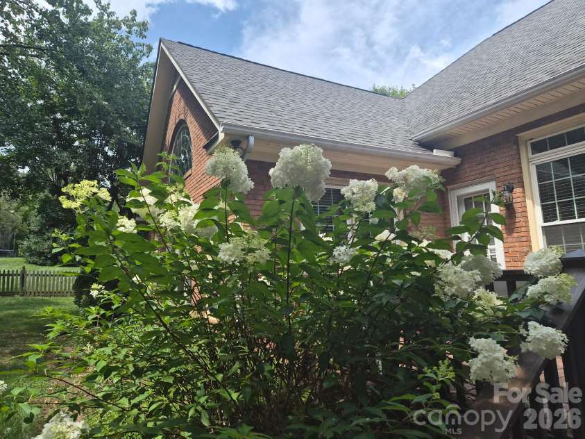 890 Lyerly Ridge Road, Concord, NC 28027.  MLS# CAR4433106, YatesRealty ID 57964. Summer blooms in the backyard