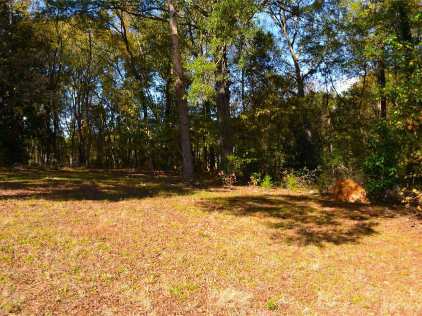 1240 Hollywood Terrace, Albemarle, NC 28001.  MLS# CAR4082586, YatesRealty ID 58. Backyard