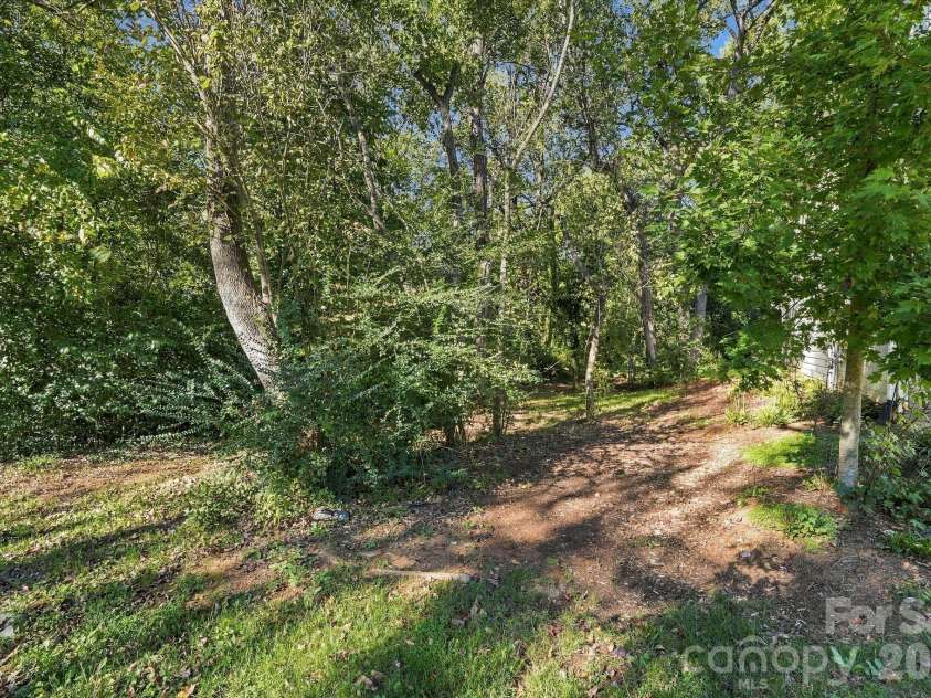 4715 Crestmont Drive, Charlotte, NC 28205.  MLS# CAR4436619, YatesRealty ID 58001. Wooded border offers a buffer from neighboring property