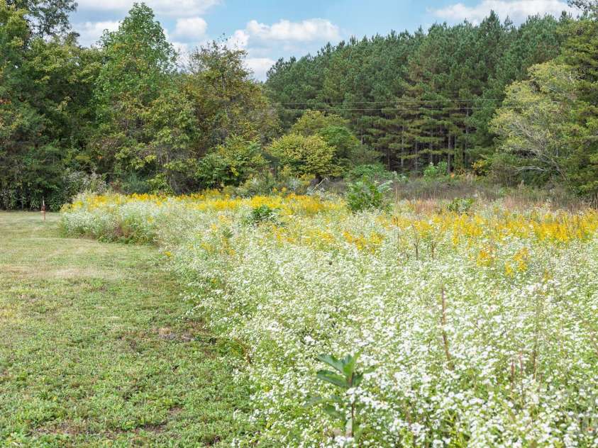 106 Ol Field Court, Lawndale, NC 28090.  MLS# CAR4436709, YatesRealty ID 58177. 
