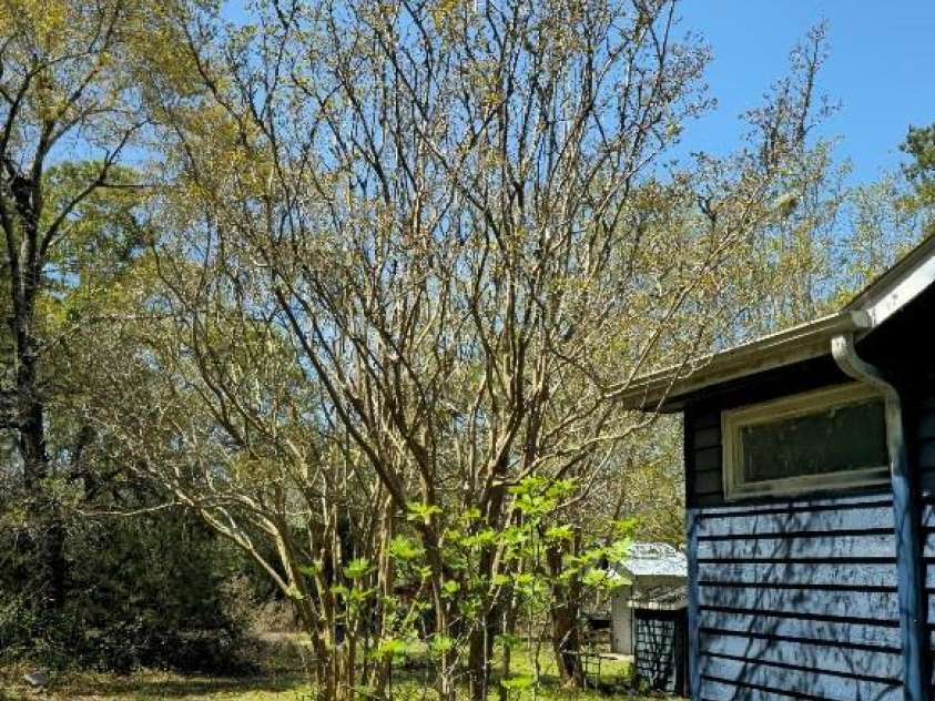 2169 Stone Chimney Road, Supply, NC 28462.  MLS# CAR4250982, YatesRealty ID 584. 