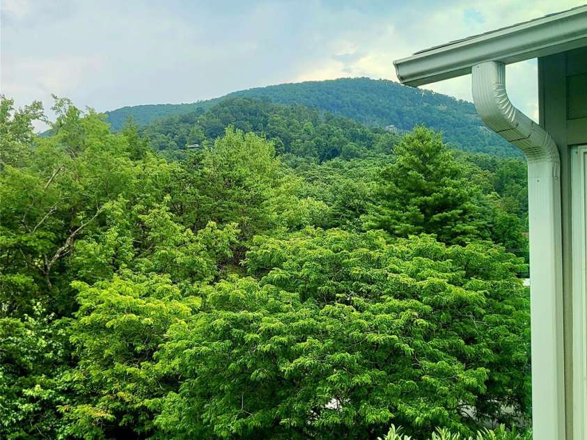 35 Cedarcliff Circle, Asheville, NC 28803.  MLS# CAR4350702, YatesRealty ID 5848. 