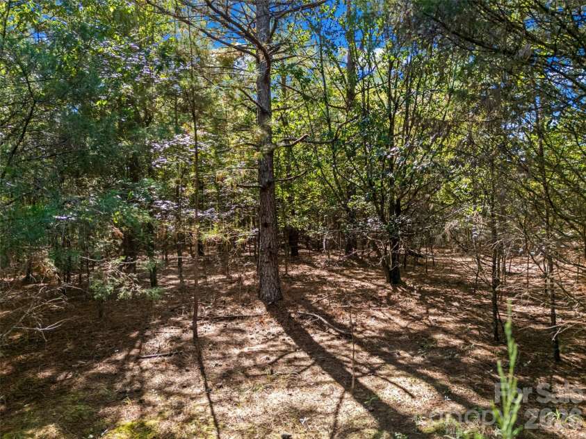 7215 Cunningham Lane, Indian Trail, NC 28079.  MLS# CAR4433374, YatesRealty ID 58499. 