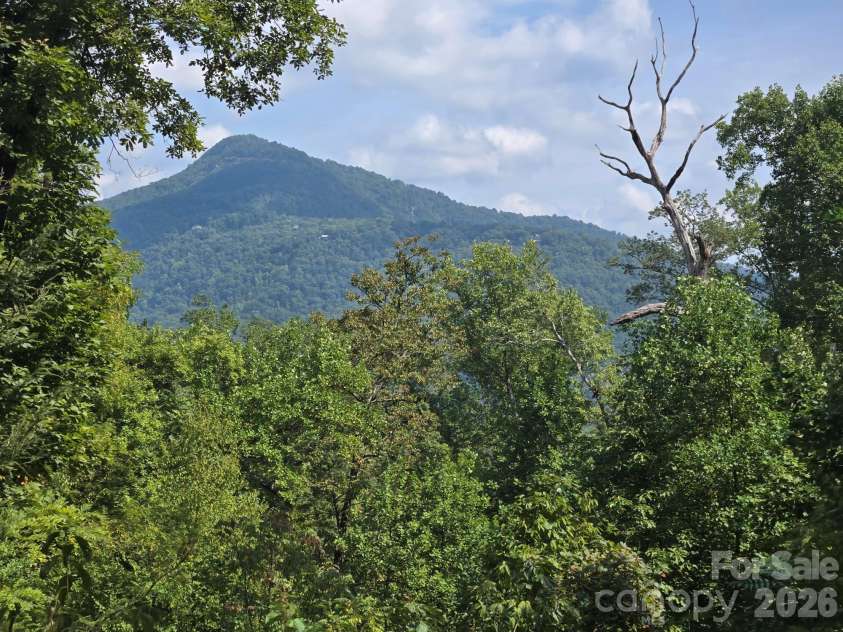 352 Bolt Road, Lake Lure, NC 28746.  MLS# CAR4305332, YatesRealty ID 5872. 18-Moutain view