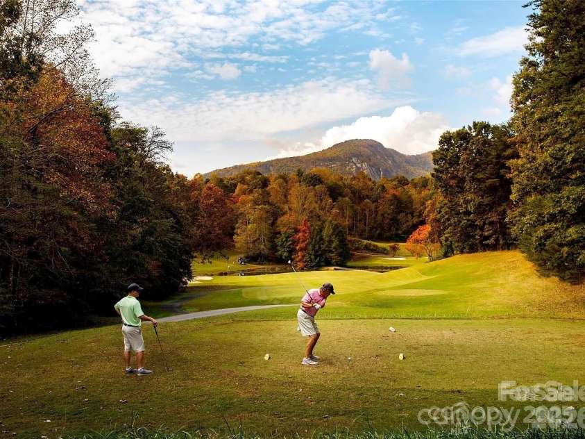 352 Bolt Road, Lake Lure, NC 28746.  MLS# CAR4305332, YatesRealty ID 5872. 25-Golf