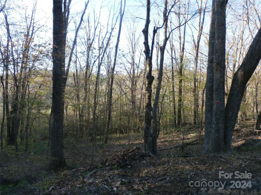 288 Firetower Road, Spruce Pine, NC 28777.  MLS# CAR4135750, YatesRealty ID 5896. 