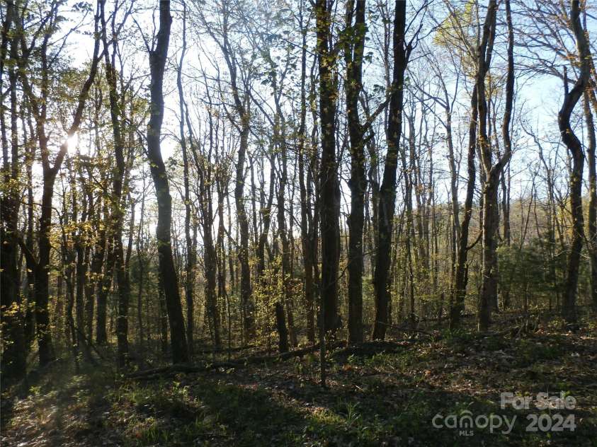288 Firetower Road, Spruce Pine, NC 28777.  MLS# CAR4135750, YatesRealty ID 5896. 