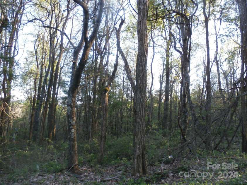 288 Firetower Road, Spruce Pine, NC 28777.  MLS# CAR4135750, YatesRealty ID 5896. 