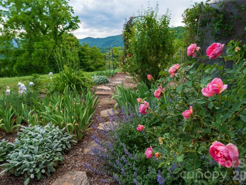 1045 & 1047 Graham Road, Marshall, NC 28753.  MLS# CAR4280943, YatesRealty ID 59. Beautiful established perennial gardens