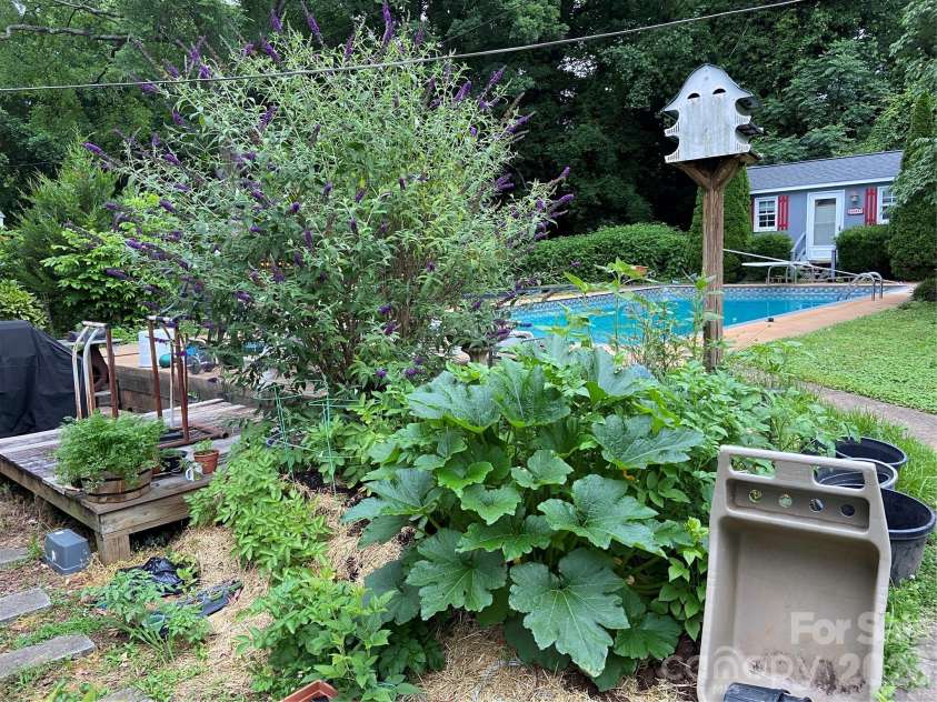 3218 Driftwood Drive, Charlotte, NC 28205.  MLS# CAR4341093, YatesRealty ID 5907. View of Backyard