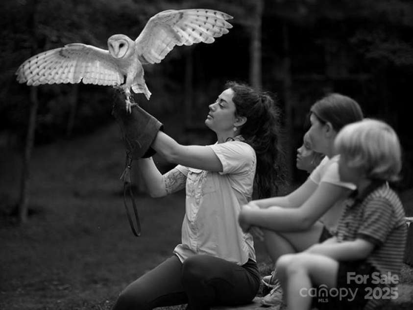 143 Lodestone Drive, Sylva, NC 28779.  MLS# CAR4308413, YatesRealty ID 594. 