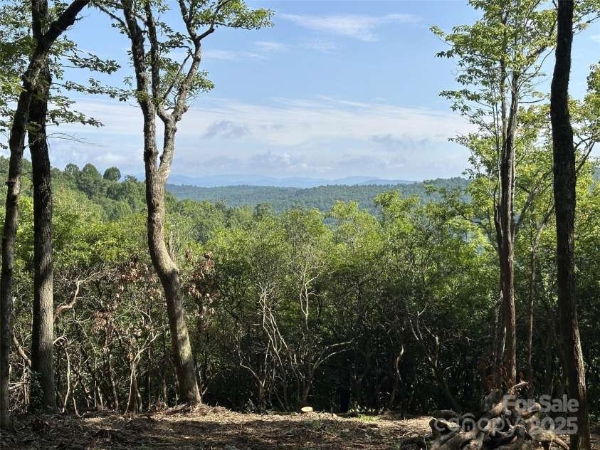 243 Ridgeline Drive, Brevard, NC 28712.  MLS# CAR4313542, YatesRealty ID 5944. Open Forest Area View