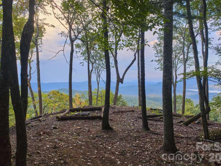 243 Ridgeline Drive, Brevard, NC 28712.  MLS# CAR4313542, YatesRealty ID 5944. Ridge End