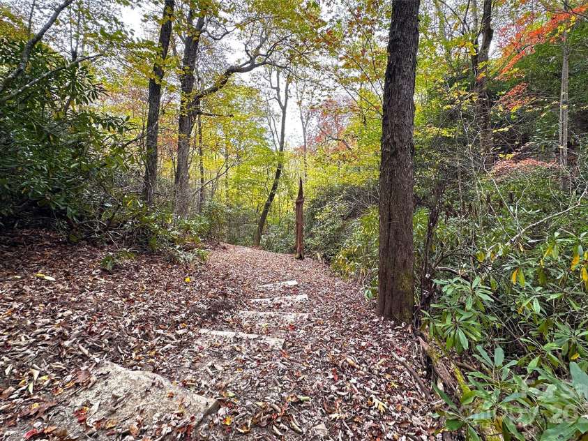 243 Ridgeline Drive, Brevard, NC 28712.  MLS# CAR4313542, YatesRealty ID 5944. Trails