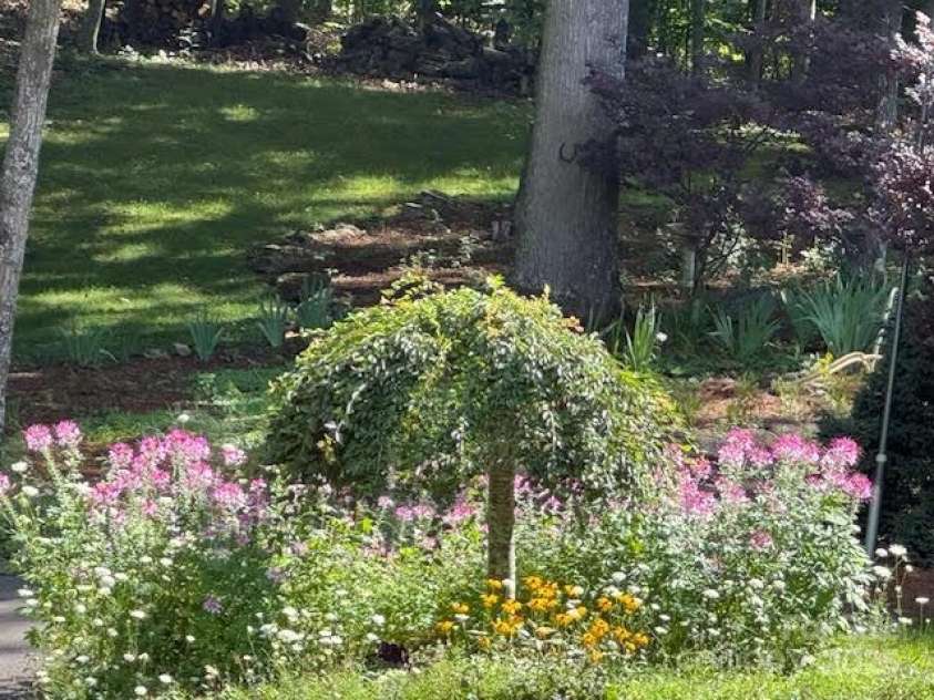 2650 Carson Woods Road, Laurel Springs, NC 28644.  MLS# CAR4318349, YatesRealty ID 595. 