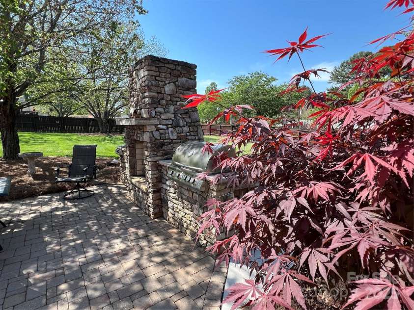 901 Ridge Street, Albemarle, NC 28001.  MLS# CAR4247010, YatesRealty ID 5950. Established landscaping - Japanese Maple beside patio area