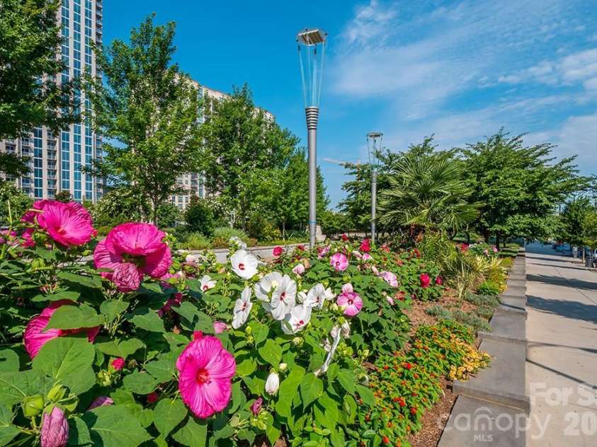 525 Sixth Street, Charlotte, NC 28202.  MLS# CAR4302449, YatesRealty ID 5992. 