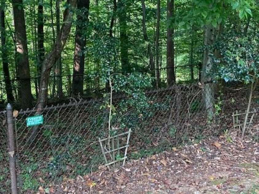 562 FOREST Drive, Wilkesboro, NC 28697.  MLS# CAR4181886, YatesRealty ID 602. 