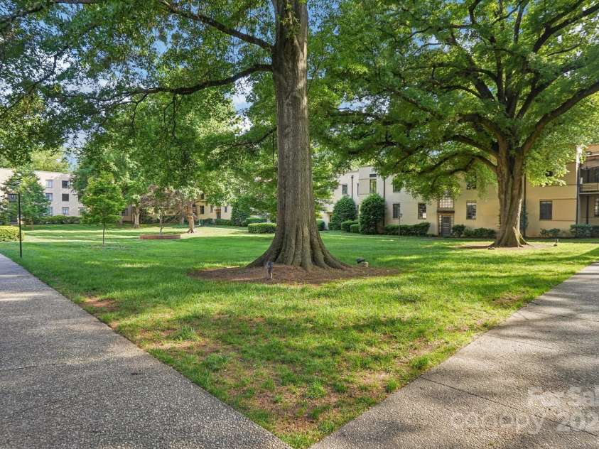 1121 Myrtle Avenue, Charlotte, NC 28203.  MLS# CAR4259010, YatesRealty ID 6053. 