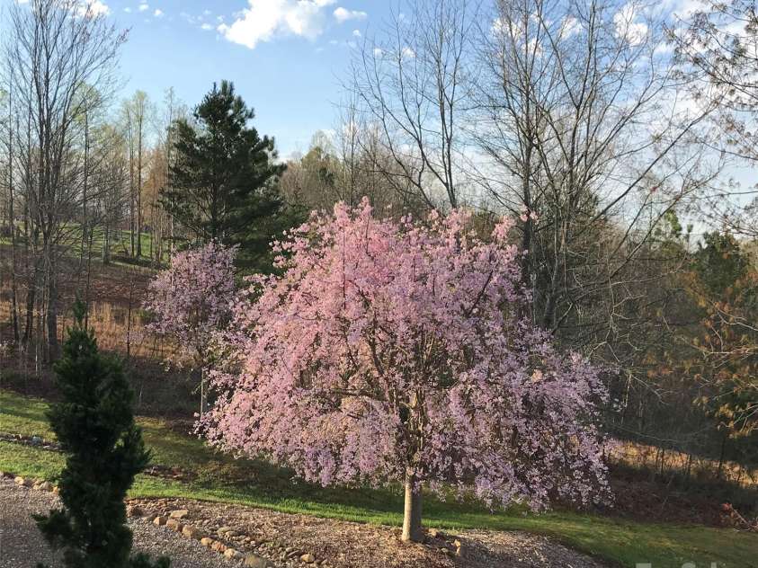 59 Star Drive, Union Mills, NC 28167.  MLS# CAR4240952, YatesRealty ID 6070. 