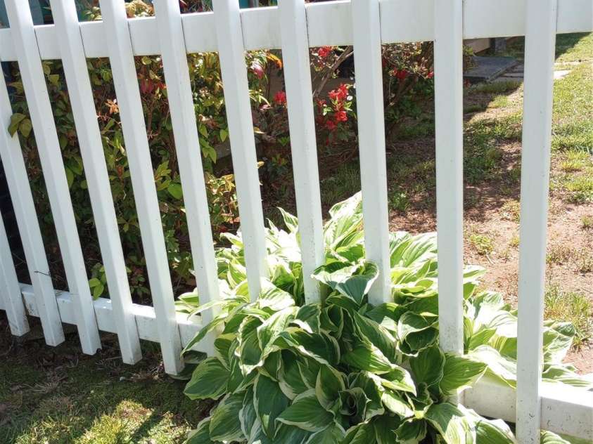 541 Pilgrim Road, Ellenboro, NC 28040.  MLS# CAR4246833, YatesRealty ID 6082. 