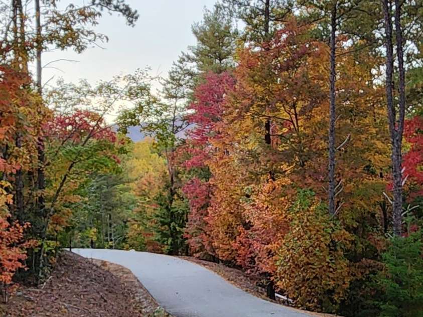 1600 Pisgah Preserve Drive, Nebo, NC 28761.  MLS# CAR4234902, YatesRealty ID 6083. 