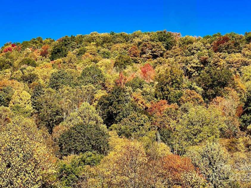 9999 Sourwood Road, Canton, NC 28716.  MLS# CAR4083977, YatesRealty ID 61. 