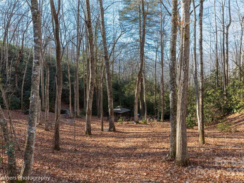 9999 Sourwood Road, Canton, NC 28716.  MLS# CAR4083977, YatesRealty ID 61. Community area