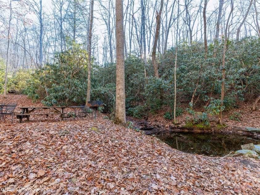 9999 Sourwood Road, Canton, NC 28716.  MLS# CAR4083977, YatesRealty ID 61. Community area