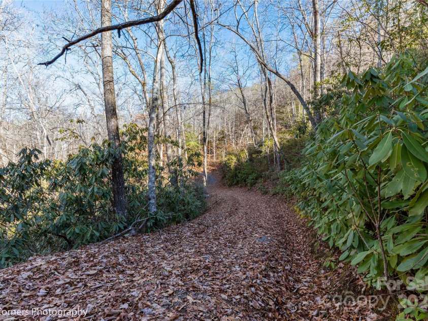 9999 Sourwood Road, Canton, NC 28716.  MLS# CAR4083977, YatesRealty ID 61. Driveway up to upper build site